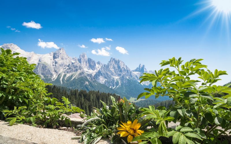 SETTIMANA VERDE NEL CUORE DELLE DOLOMITI - TOUR + SOGGIORNO